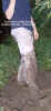 anslog21.jpg (50394 bytes)